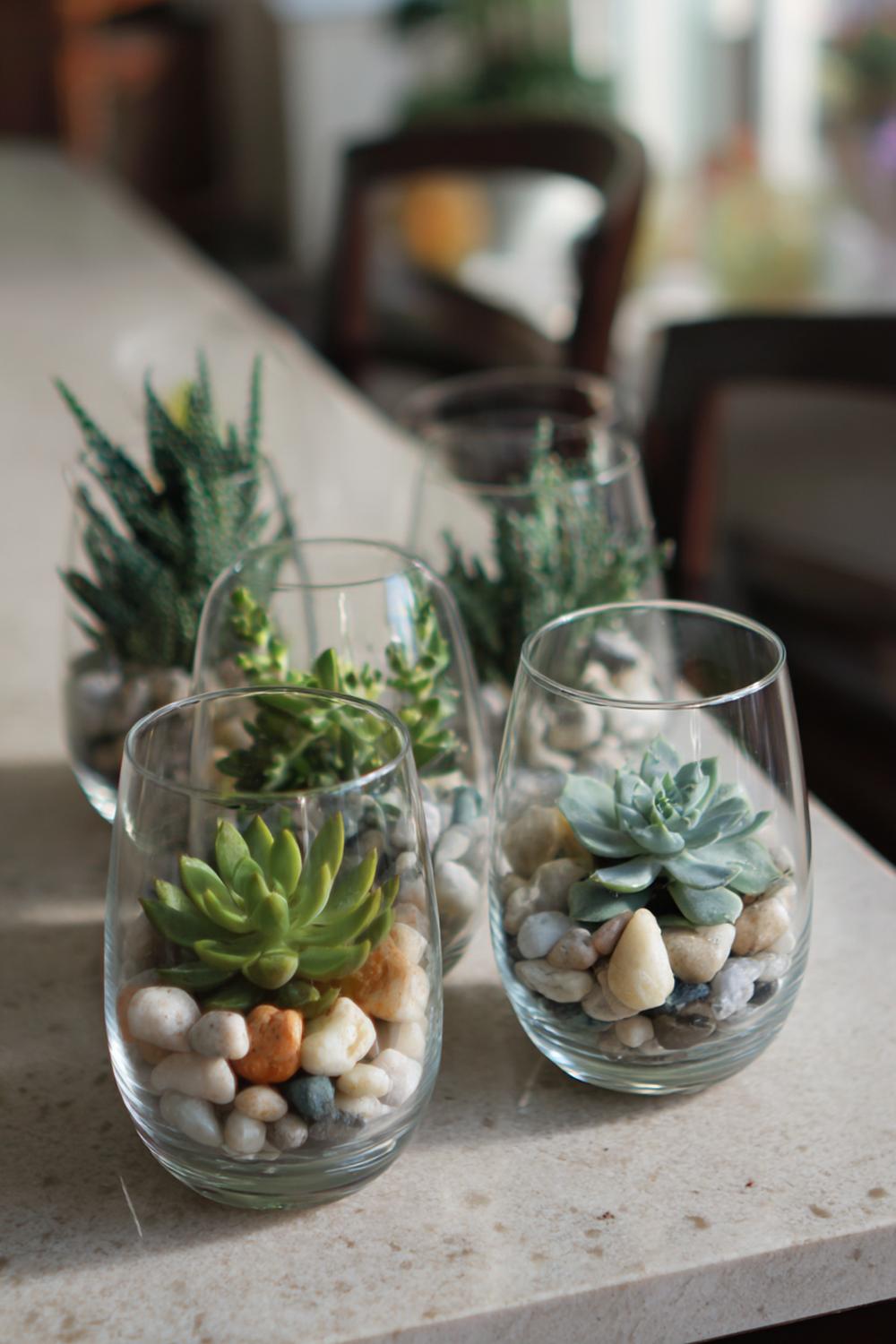 9. Mini-Terrarien in Gläsern mit Sukkulenten und Kieselsteinen