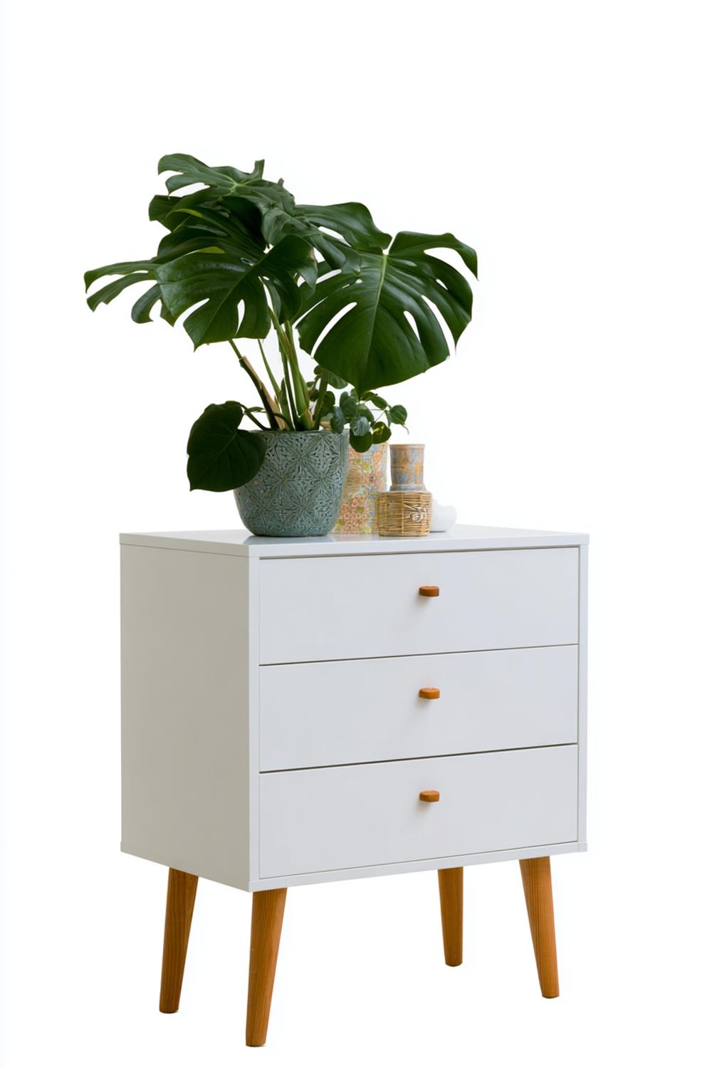 14. Kommode minimalistisch botanisch mit Monstera-Steckling und Glaskuppel