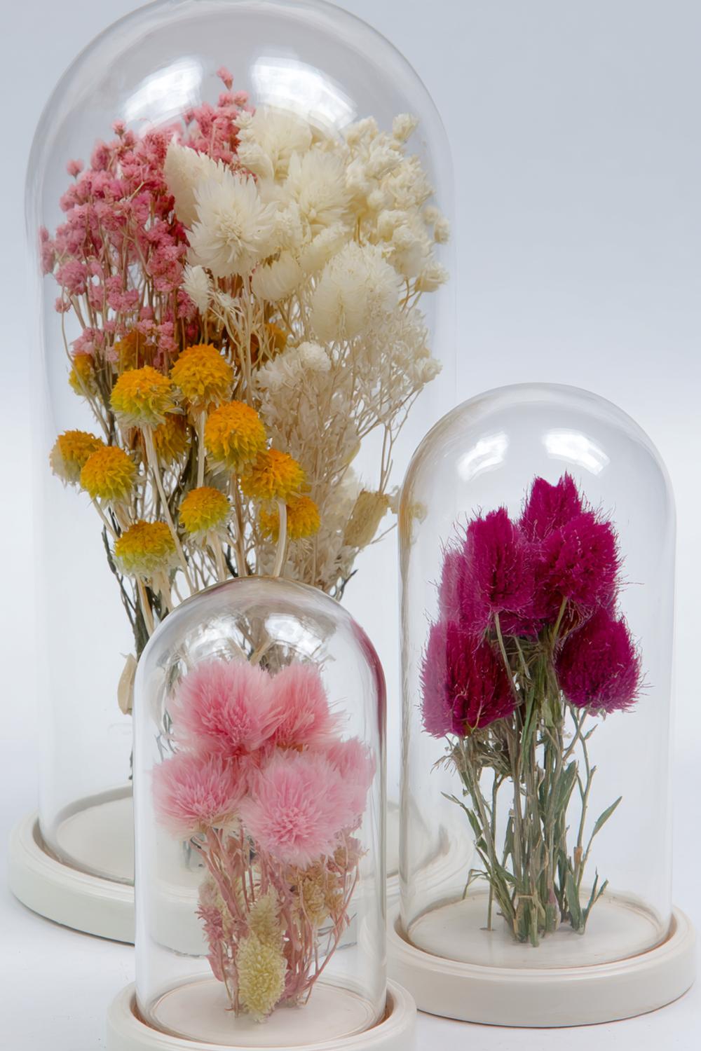 14. Trockenblumen Kapselformen in transparenten Acrylkugeln