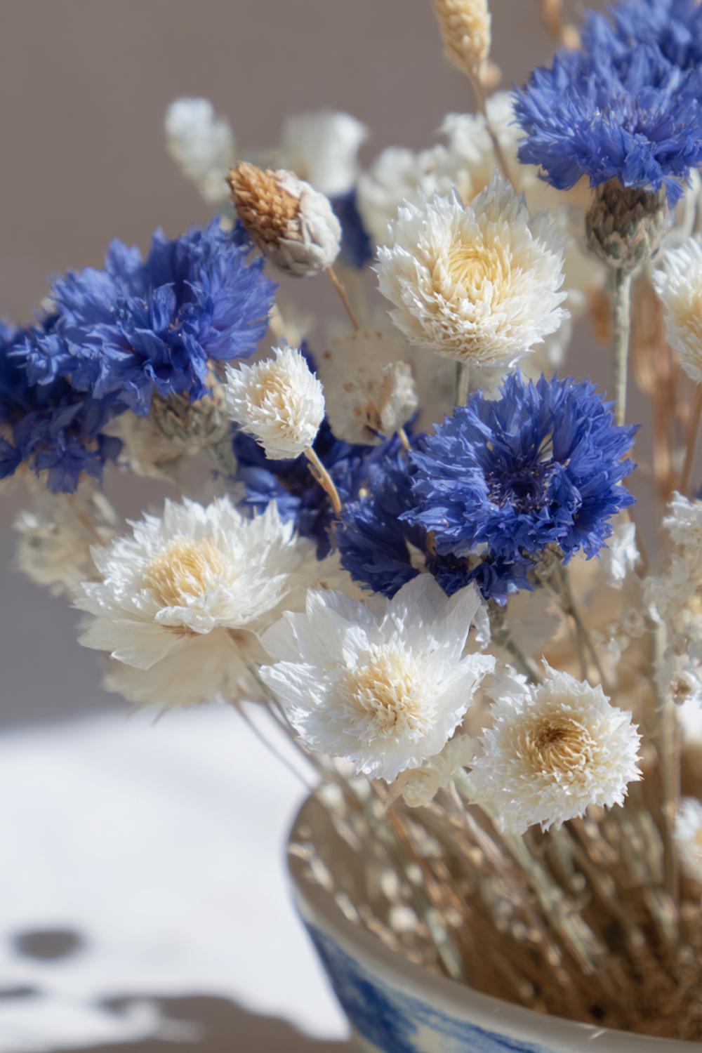 17. Trockenblumen Farbakzent in Kobaltblau und Naturweiß in Keramikvase