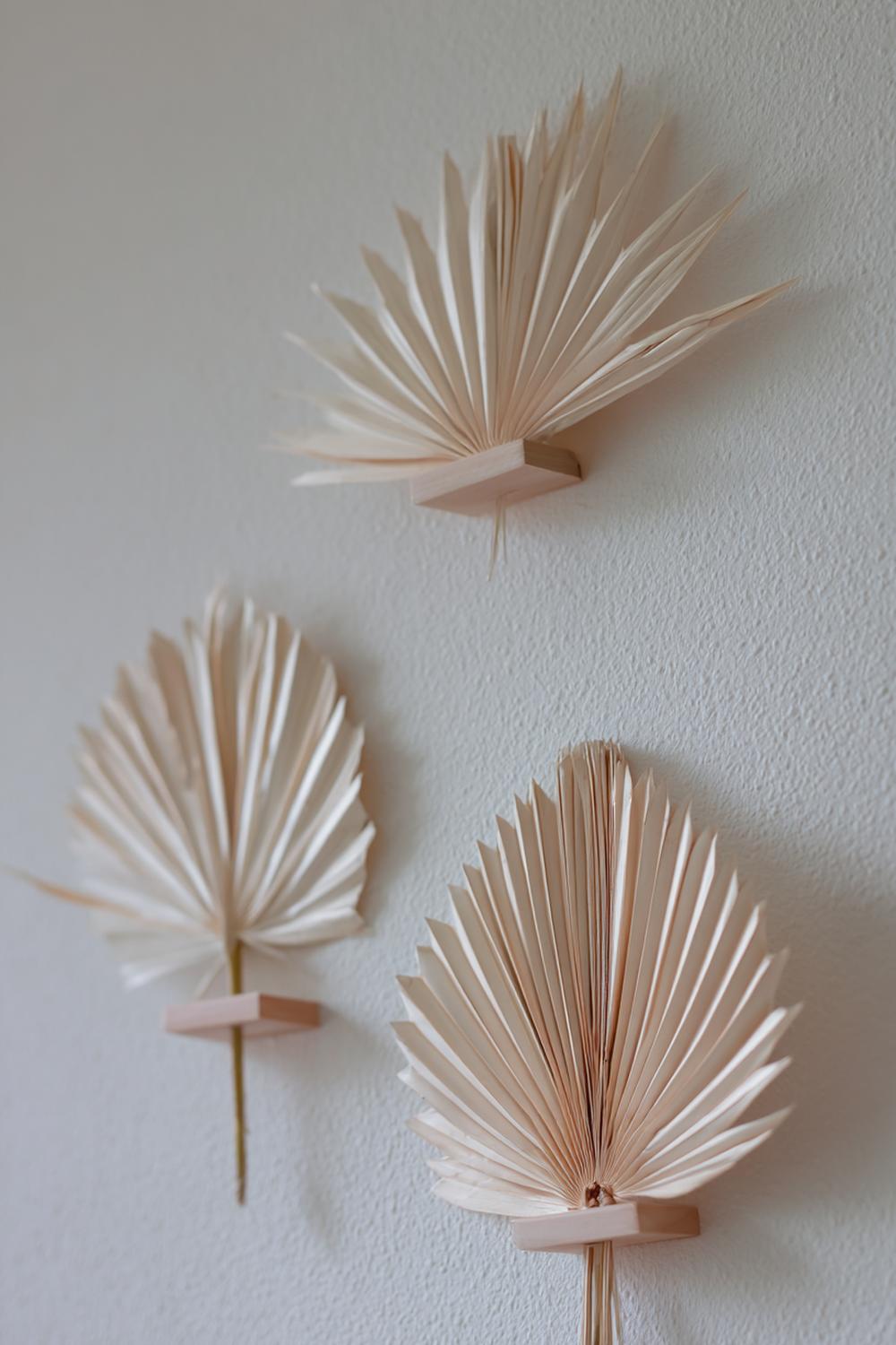 12. Wanddeko ohne Bohren mit getrockneten Palmblättern in Fächerform und minimalistischen Klemmclips