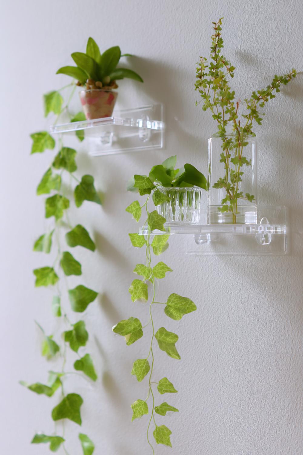 14. Wanddeko ohne Bohren mit selbstklebenden Acryl-Mini-Regalen und zart hängenden Efeututen